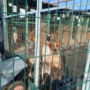 8wgAuII7PatVSoueBisaeLWdYfWJzNjHZIIjjRpRY16_JbIizxP6TXn5d5UR6S1jUFdMXrDzNI_mHyM1GLIM0je-