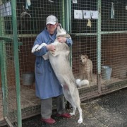 N9HVDKjvvSTO-Q2at3T6jeBH8j3CPB_W3DDq8IezaMKG8o6B6Ej4e-8cL-EwyRtIZ8SwLtKZ6YzUxmJD557tutnD