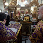 PmahSefee5FzrDd342T5j79DnMjfjrhBvZxQ86sK4j5_4jTE9Qgz5jauEq2MyxszqNssLO4RB7EscokCxn15W3mn